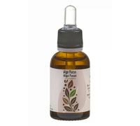 Alga Fucus - Fucus vesiculosus L. - 30 ml