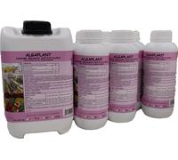 ALGA PLANT 1/5/25KG CONCIME ORGANICO AZOTATO LIQUIDO X OLIVI AGRUMI VITI FRUTTI
