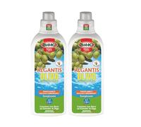 Algantis Olivo, fisioattivatore della fioritura e rinverdente per olivi e piante mediterranee a base di alghe brune e boro, offerta composta da n. 2 confezioni da 1 kg