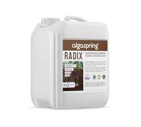 Algaspring Radix Biostimolante Radicale 5L - 100% Naturale a Base di Alghe e Microalghe | Agricoltura Biologica | Favorisce lo Sviluppo delle Radici, il Vigore della Pianta e il nutrimento del Suolo
