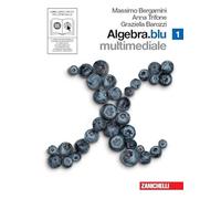 Algebra. Blu. Per le Scuole superiori. Con CD-ROM. Con DVD. Con espansione online (Vol. 1)