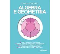 Algebra e geometria