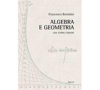 Algebra e geometria. Una storia comune