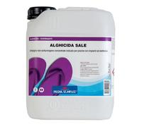 Alghicida liquido per sterilizzatori a sale senza rame - 5 lt