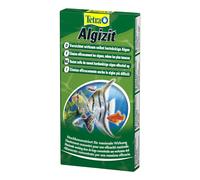 Algizit 10 Tav