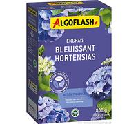 ALGOFLASH Fertilizzante Bluing Ortensie, Azione prolungata, Blu intenso, 800 g, ABLEUI800N