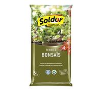 ALGOFLASH Terra di Bonsain, UAB, Pronto all'uso, Made in Francia, 6 L, TBONZ6