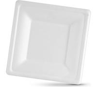 Algon | Set di 300 piatti usa e getta - piatti usa e getta misura 16 cm resistenti ed ecologici, ideali per feste, eventi e riunioni