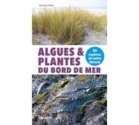 Algues & plantes du bord de mer: 50 espèces de notre littoral