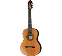 Alhambra 11 P w/Case