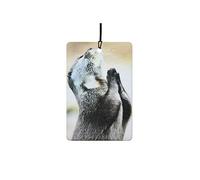Ali Air Freshener - Deodorante per auto, motivo lontra che prega