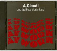 Ali Claudi And The Blues & Latin Band - At Work