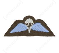 Ali da paracadutista dell'esercito britannico della seconda guerra mondiale...