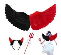 Ali d'Angelo con Aureola, Ali d'Angelo e del Diavolo Costume da Donna, Costume da Fata per Adulti per Halloween, Carnevale, Feste in Maschera, Feste in Maschera