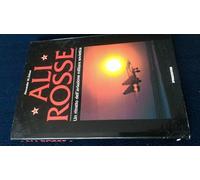 Ali rosse. Un ritratto dell'aviazione militare sovietica