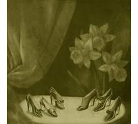 Alice Cohen Into The Grey Salons (Vinyl LP)