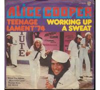 ALICE COOPER - TEENAGE LAMENT 74 7 INCH (7" 45) GERMAN WARNER BROS 1973