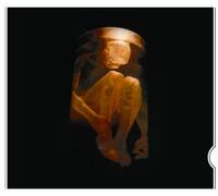 Alice in Chains - Nothing Safe: Best of The Box