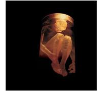 Alice In Chains - Nothing Safe: Best of the Box By Alice In Chains (2015-01-16)