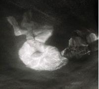 Alice Phoebe Lou Glow (CD)