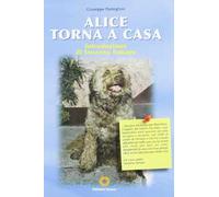 Alice torna a casa