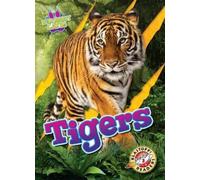 Alicia Z Klepeis Tigers (Copertina rigida) Wild about Cats