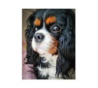 ALIEDA 5d Diamond Painting Cavalier King Charles Spaniel Kit Completo per Bambini Adulti,DIY Strass Ricamo Pittura Diamante Kit per Casa Decorazione Murale (Size : 40x50cm)