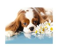 ALIEDA 5d Diamond Painting Cavalier King Charles Spaniel Kit Completo per Bambini Adulti,DIY Strass Ricamo Pittura Diamante Kit per Casa Decorazione Murale (Size : 40x50cm)