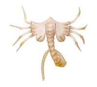 Alien Facehugger, copertura per il viso di Predator, 2024 nuovo film horror Alien Merch Facehugger, maschere realistiche per il viso, cosplay, feste di Halloween, Natale, feste in maschera,