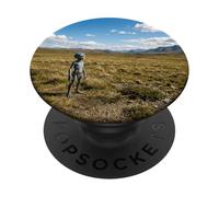 Alien Figura Open Field Remote Incontro Mistero Grafico PopSockets PopGrip Adesivo