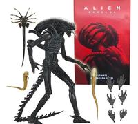 Alien Romulus Ulimate Xenomorfo XX121 Action Figure NECA 17420