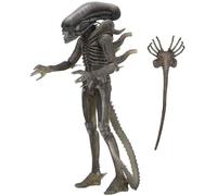 Alieno 40th Anniversario Onda 4 The Alieno Figura NECA 17123