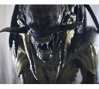 Aliens Vs.Predator : Requiem Poster Stampa 61x50.8cm Cool Foto 277820