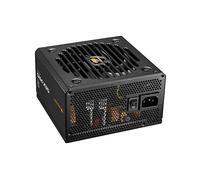 COUGAR CGRGEXP-750 alimentatore per computer 750 W 20+4 pin ATX ATX Nero