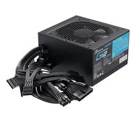 G12 GC alimentatore per computer 550 W Nero, Alimentatore PC Nero, 550 W, 100 - 240 V, 50/60 Hz, 10 A, Attivo, 100 W