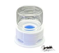 Alimentatore Di Formiche Trasparente, Stazione Di Idratazione Degli Insetti, Distributore D'acqua Di Grilli, A Portata Di Mano Per Pulire, Artigianato Fine, 38 Mm, Per Habitat Colonie Agricole