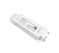 Alimentatore dimmerabile a doppia temperatura di colore alimentatore dimmerabile for telefono cellulare 20w25w30w alimentatore dimmerabile a temperatura di colore(500mA 24W)