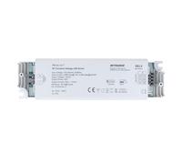 Alimentatore Dimmerabile CV 12V 40W 3 Canali Con Telecomando RF 2.4G Per Strisci