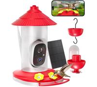 Alimentatore per colibrì con telecamera ad energia solare per esterni