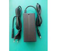 Alimentatore per Hoverboards - Bici elettriche 29V - 2A spinotto 5,5 x 2,5