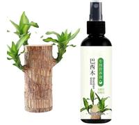 Alimenti Per Piante In Legno Brasiliano - Fertilizzante Liquido Lucky Bamboo Da 100 Ml | Soluzione Nutritiva Per Legno Brasiliano | Fertilizzante Per Piante Da Interno