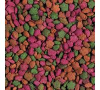 ALIMENTO VEGETALE PER TARTARUGHE TERRESTRI TARTA TUTTA FRUTTA 2,5 kg