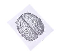 Alipis 1 Pz Poster Del Arte Murale per Laboratorio e Aula Dimensioni per Insegnamento e Decorazione Facile da Leggere e Comprendere