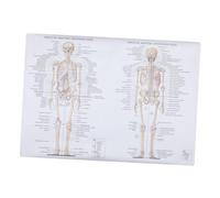 Alipis 1pezzi Poster Anatomico Umano Struttura Corpo Immagine Didattica Scheletrica Muscoli Anatomia Umana Laboratori Scuole Aule