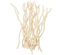 Alipis 20 pezzi Bastoncini Rametti Secchi Naturali per Decorazioni Lavoretti Creativi e Materiali Fotografici DIY