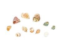 Alipis 3 Set Conchiglia paesaggistica per Acquario Guscio della casa del Granchio eremita Ornamento Casa per granchi eremiti Ornamenti di Conchiglie Arredamento Conchiglia Conchiglia