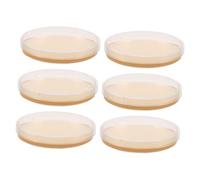 Alipis 6 pezzi Piastra Agar Nutriente Preversata per Esperimenti Microbiologici Piatti Petri Usa e Getta Laboratorio e Didattica Design Compatto e Sigillatura Avanzata