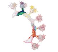 Alipis 7 pezzi Toppe Coda Sirena Colorate per Decorazioni e Accessori DIY per Mollette Patch Pratiche per Riparazioni e Costumi