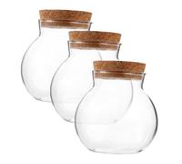 Alipis Bottiglia Ecologica in Vetro Trasparente 3 Pezzi Tappo in Sughero Contenitore Decorativo per Micro Paesaggio Terrario da Te per Piante Grasse Mini Giardino Arredamento Casa