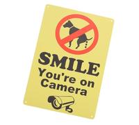 Alipis Cartello Segnaletico Divertente No Pipi Cani con Telecamera Avviso Passeggiate Cani Targa in Vintage Resistente per Giardino e Cortile Indicazione Area Pulita